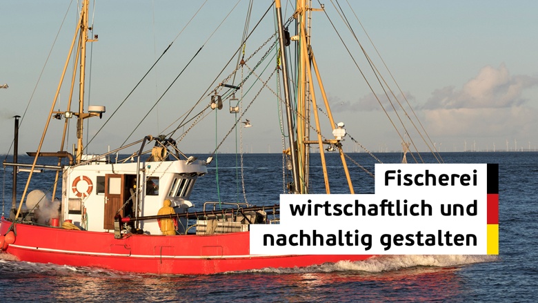 Fischereipolitik: wirtschaftlich und ökologisch gestalten