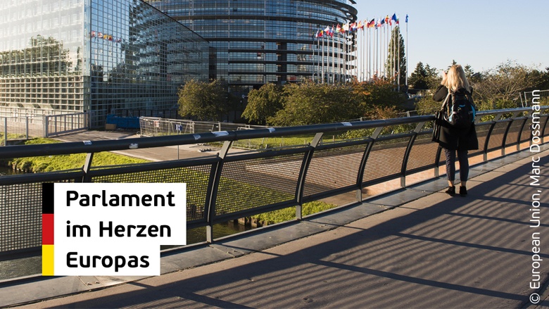 Europaparlament sollte über seinen Sitz selbst entscheiden