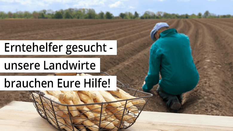 Erntehelfer gesucht - unsere Landwirte brauchen Eure Hilfe!