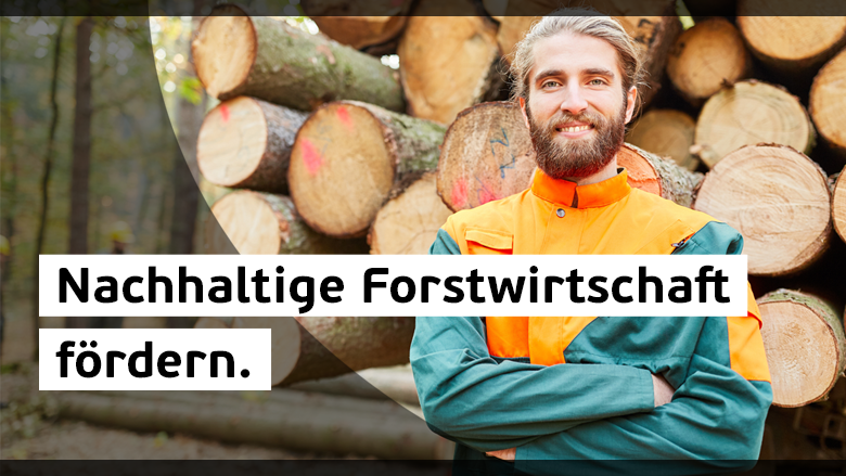 FORSTWIRTSCHAFT