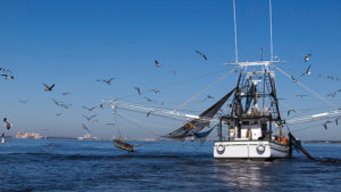 EU-Nordseeplan sichert Existenzgrundlage für viele Fischereibetriebe