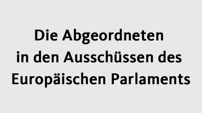 Die Abgeordneten In Den Ausschüssen Des Europäischen Parlaments