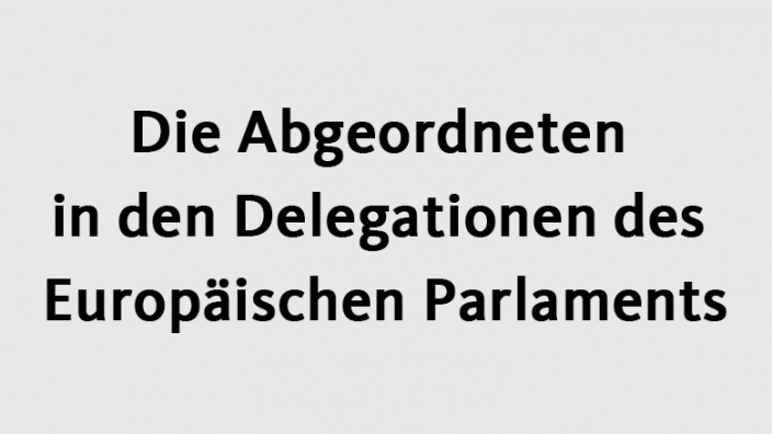 Die Abgeordneten In Den Delegationen Des Europäischen Parlaments